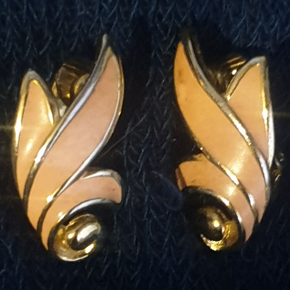 Earnings clip on Vintage